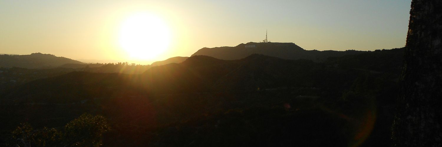 LeesaFarmer's profile banner image