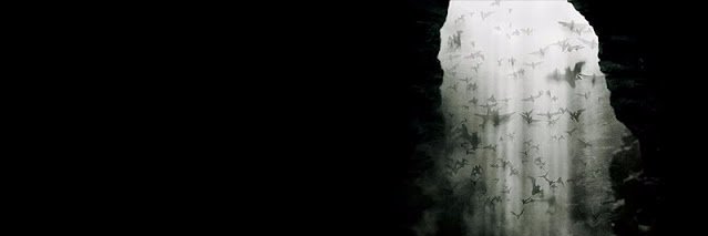 Rodrigo Carrera banner