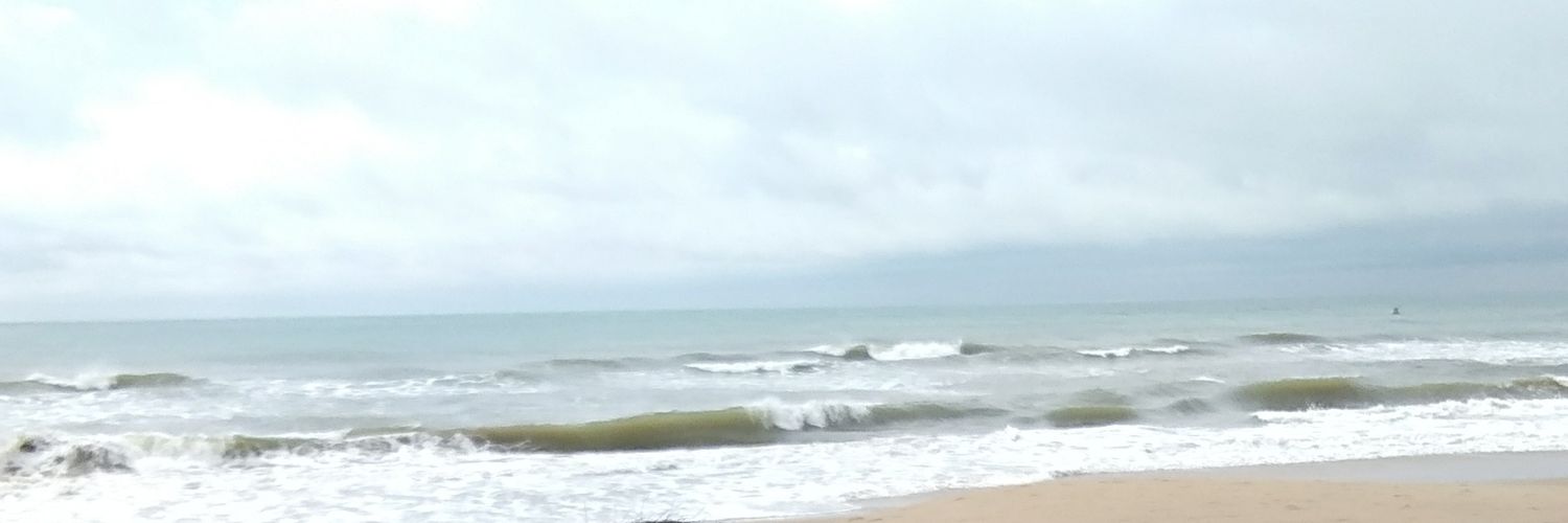 2thepharmacist's profile banner image