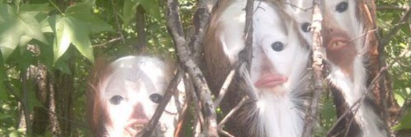 paytonnag Profile Banner