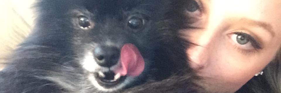 KaylaRadomski4's profile banner image