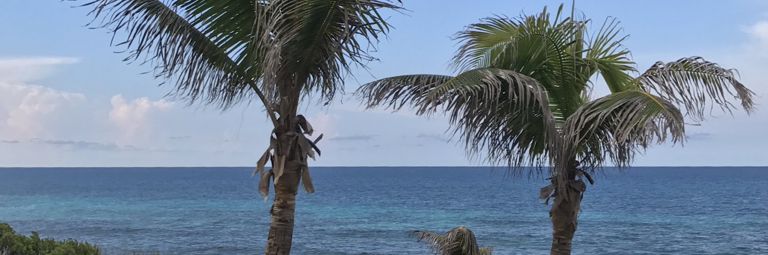 rivasbruh's profile banner image