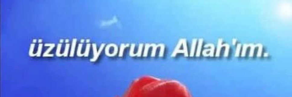 argadinie's profile banner image