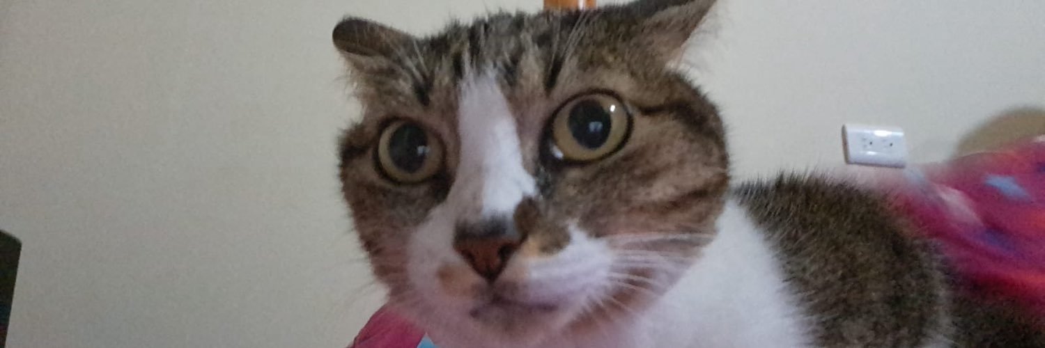 RussiaMarti's profile banner image