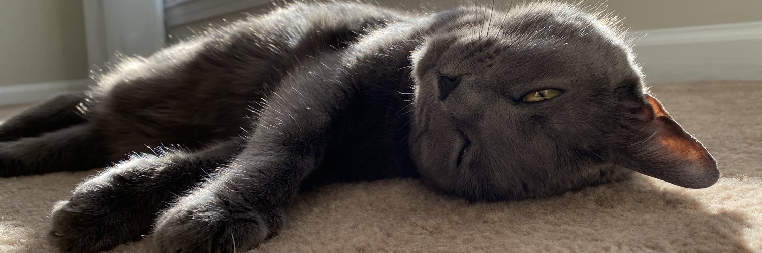 CatMattevi's profile banner image