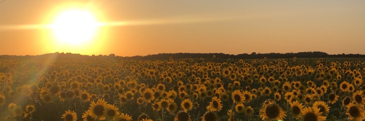 Janelle_Larson1's profile banner image