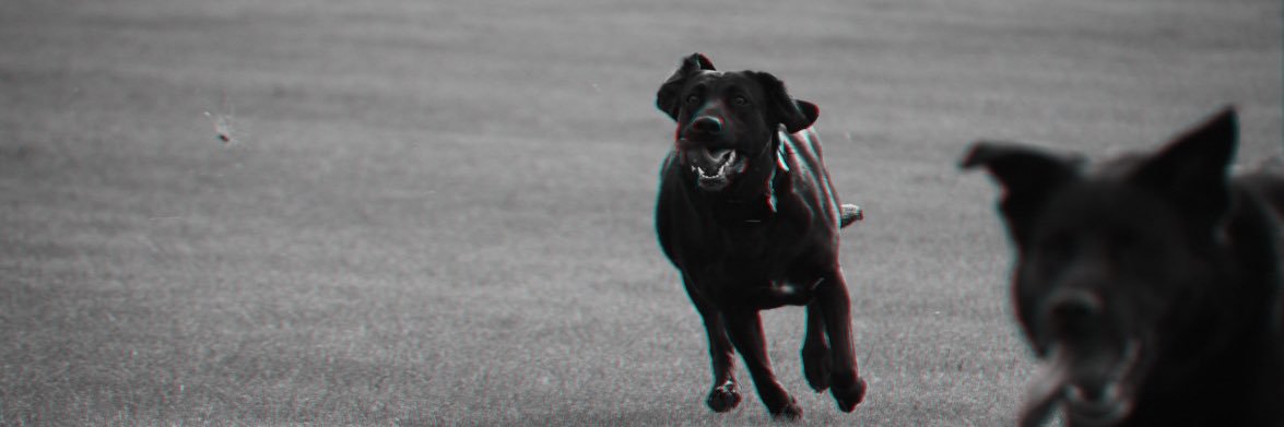chthro's profile banner image