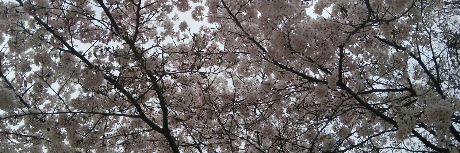 ArkNm39's profile banner image