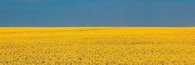 Mercina Tillemann Perez banner