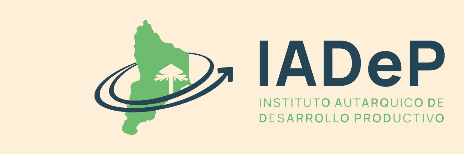 IADEP banner
