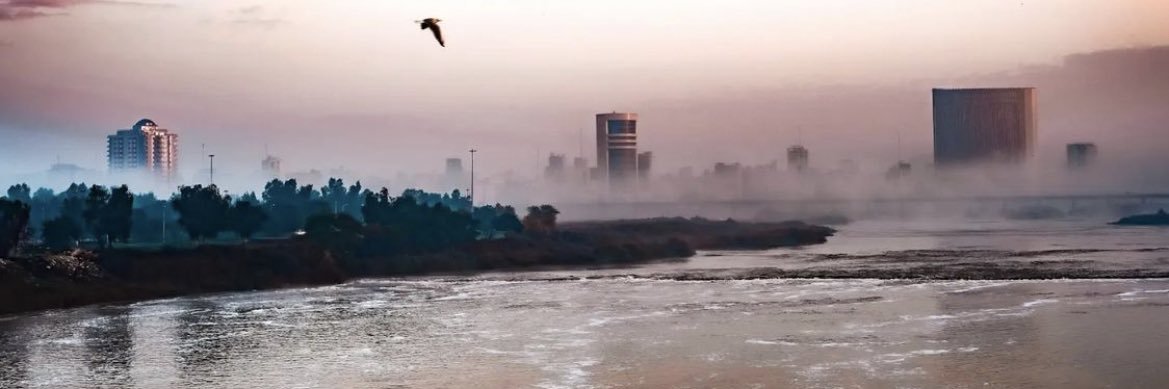 about_ali banner