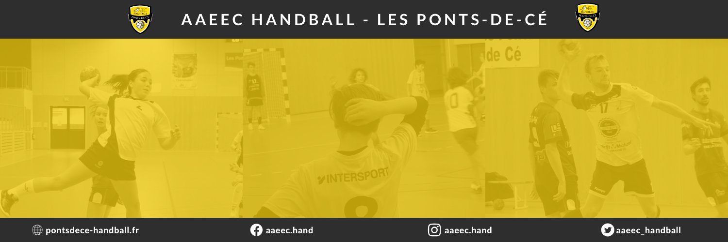 aaeec_handball's profile banner image