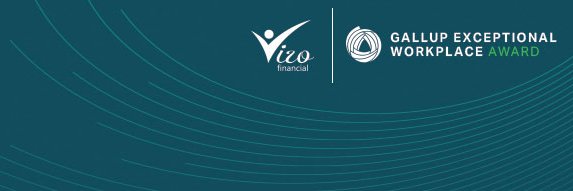 Vizo Financial banner