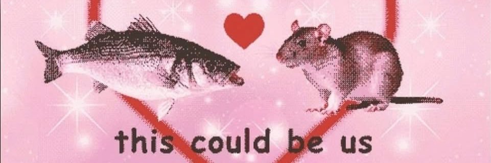 🌙 banner