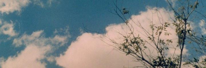 500daysof_floo's profile banner image