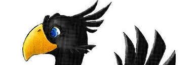 Facu Mello Teggia banner