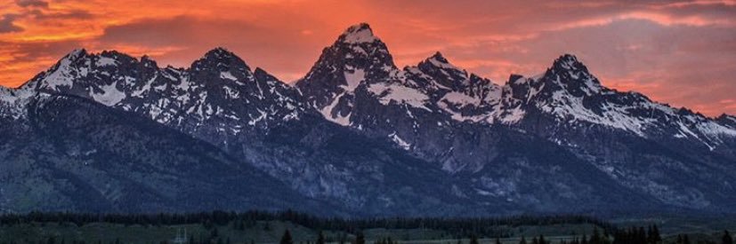 ZachMatthews_'s profile banner image