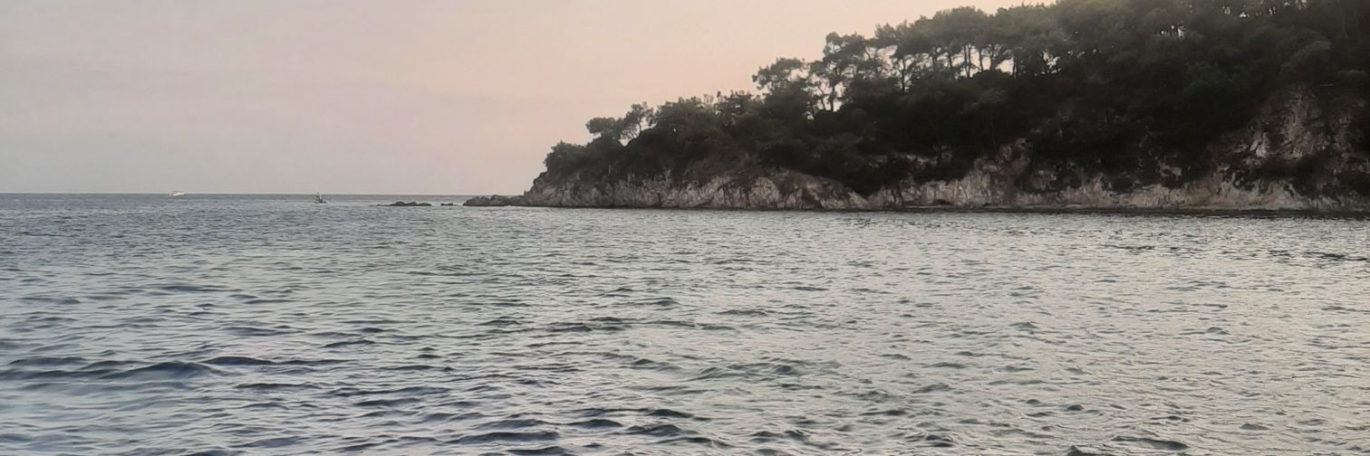 sonadamdovucu's profile banner image