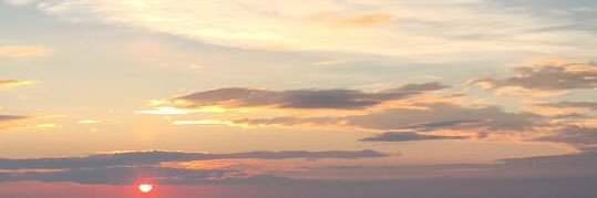 Noah Taylor banner