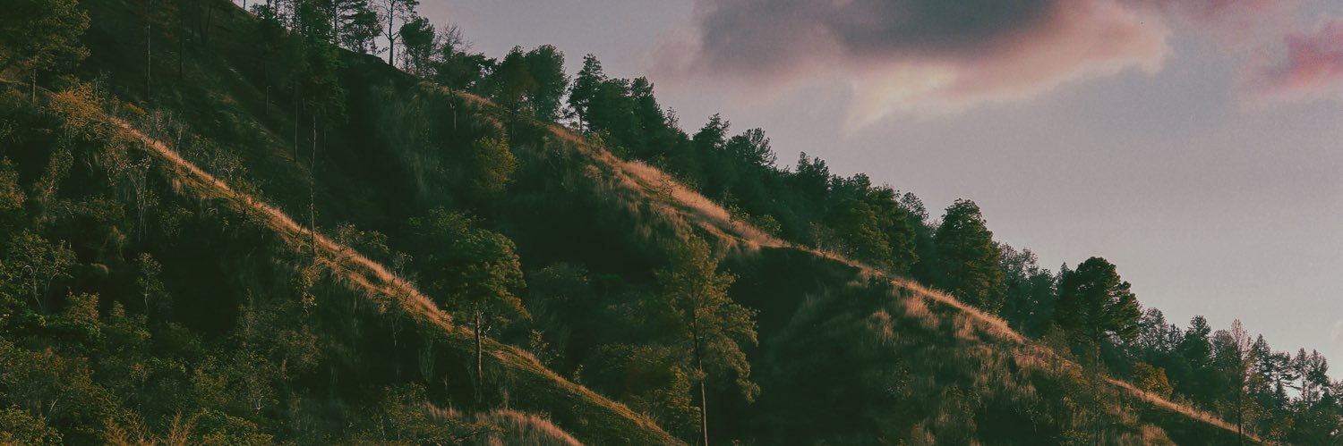 RayArmas's profile banner image