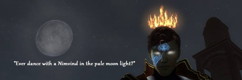 Nimvind Dirgesinger banner