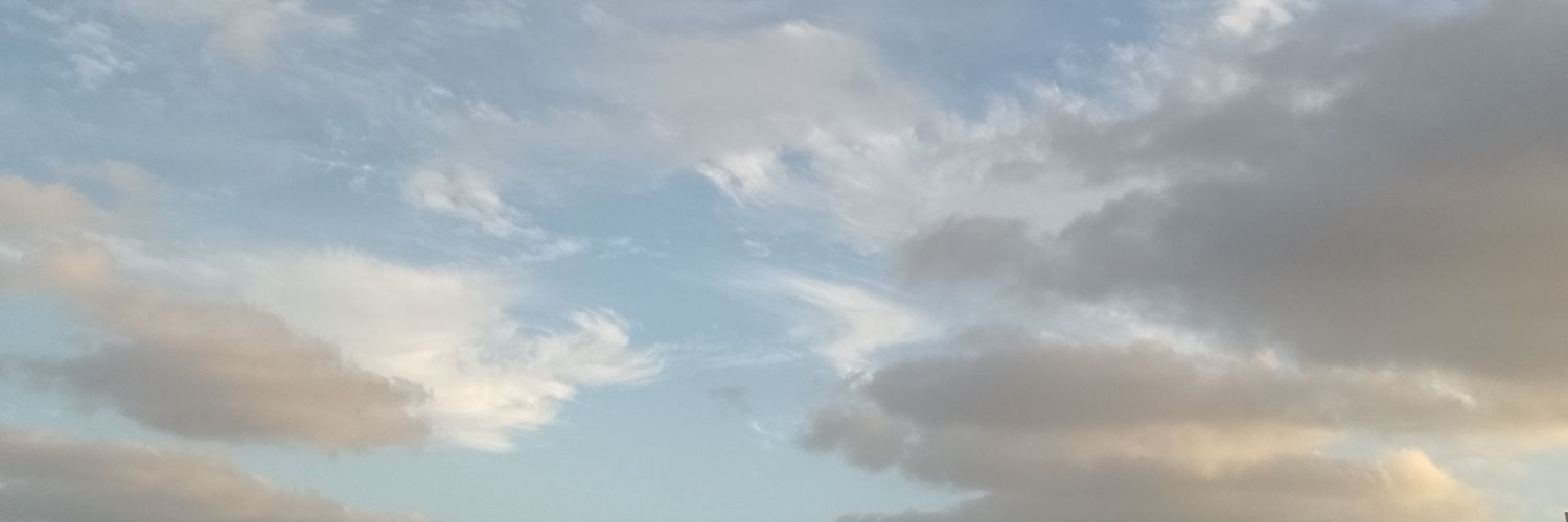 rogradin's profile banner image