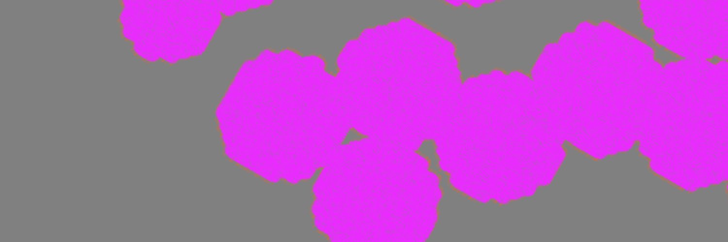 Meredith Hattam banner