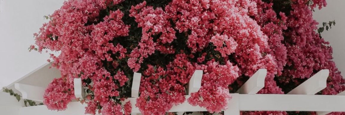 aahh911a's profile banner image