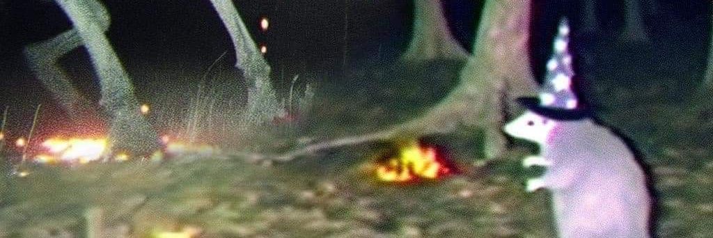 Daniel_osters's profile banner image