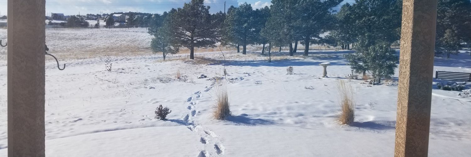 BombShelle93's profile banner image