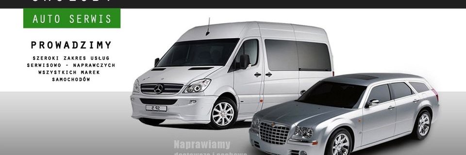 cholodyautoS's profile banner image