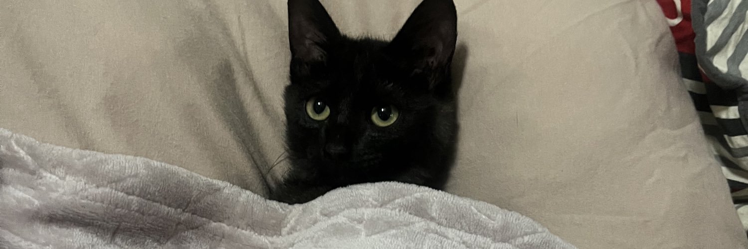 TozoniMarcia's profile banner image