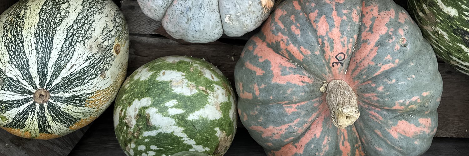 Jonathan Boucher banner