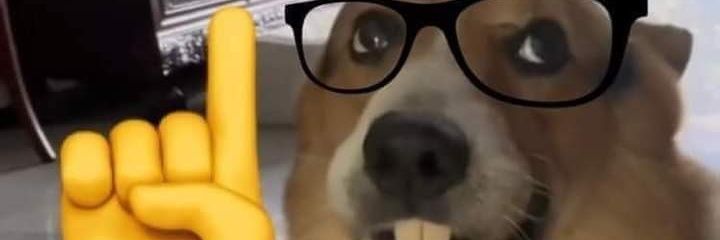 bryester's profile banner image