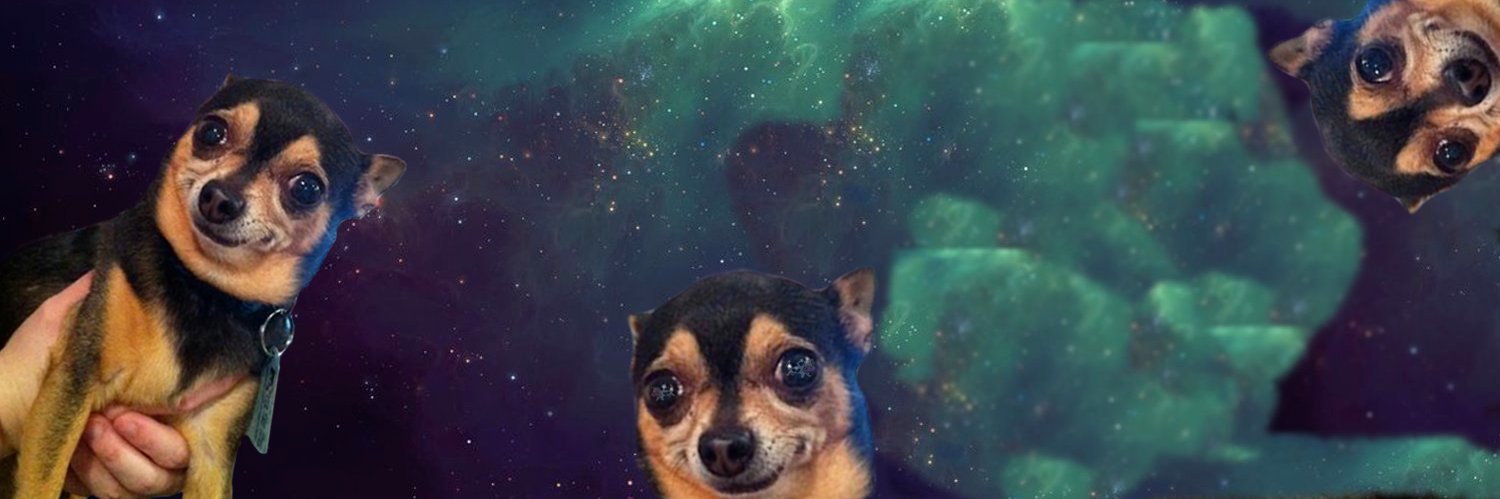 robertito banner