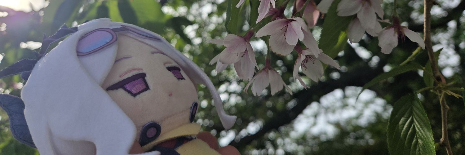 sturmdrayco's profile banner image