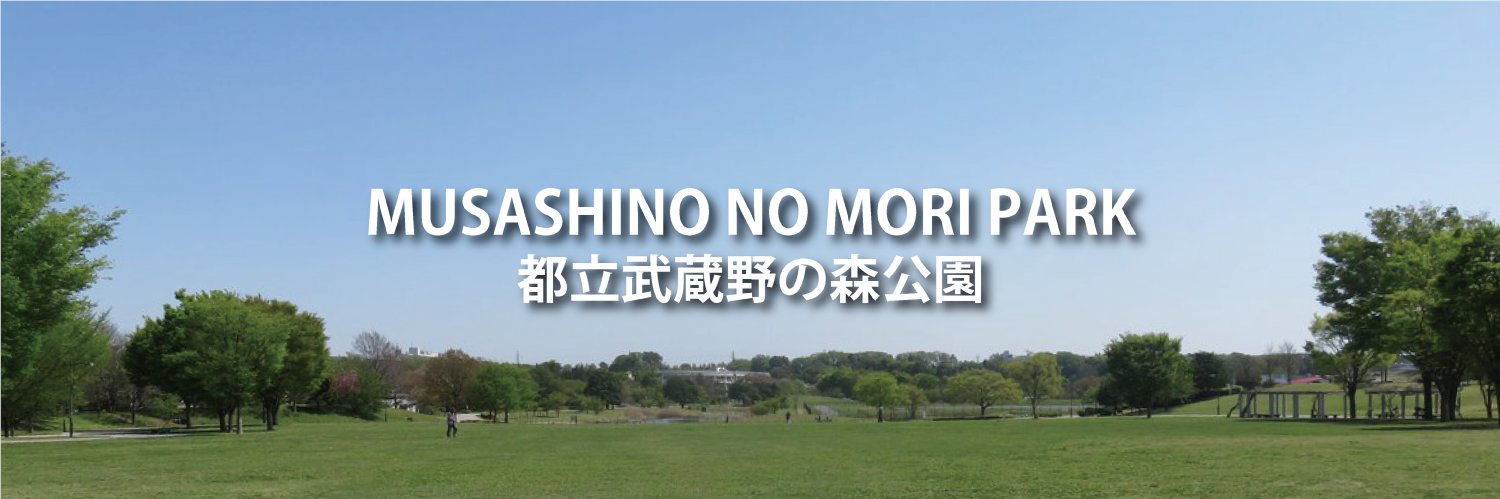 ParksMusashimor's profile banner image