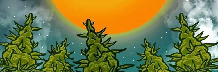 laneezy_'s profile banner image