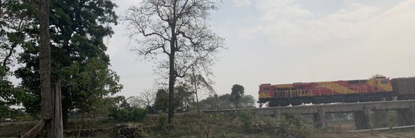 SumitraDebRoy Profile Banner