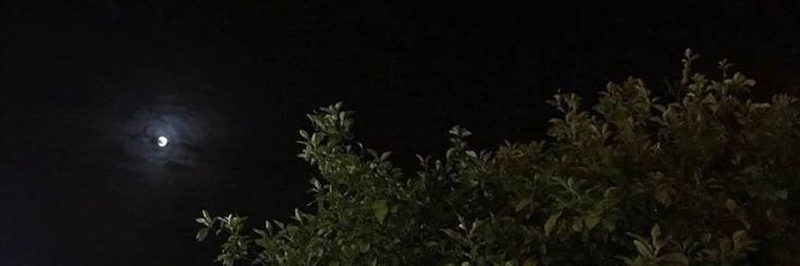 Dahfei's profile banner image