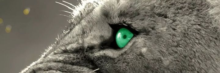 dopestweet's profile banner image