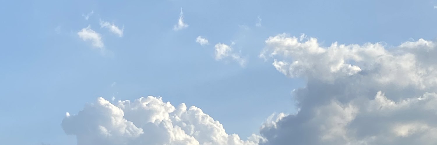 harirebi's profile banner image