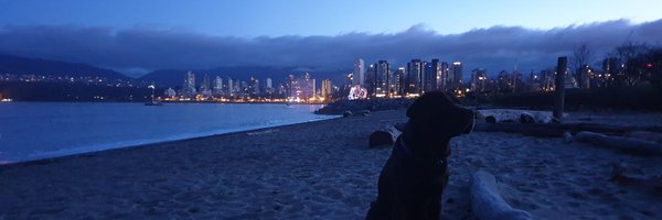 GauravGulsin Profile Banner