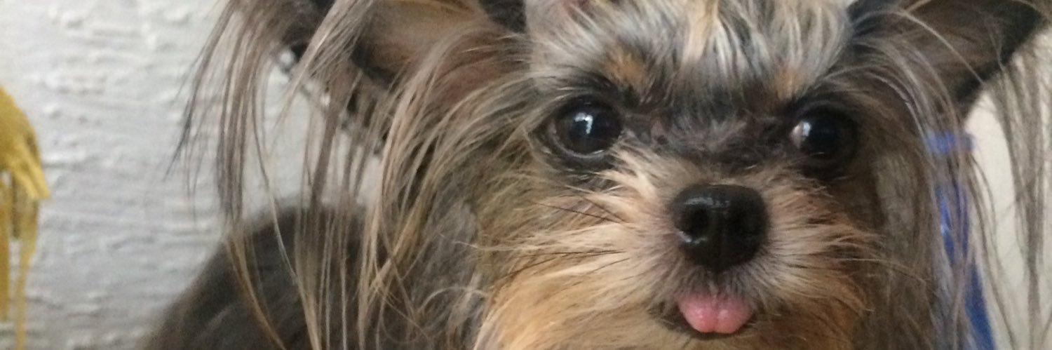 Claricia_'s profile banner image