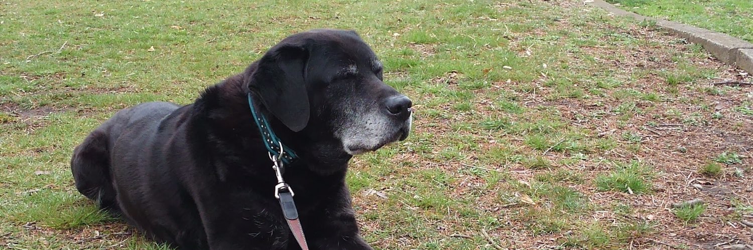 edyama's profile banner image