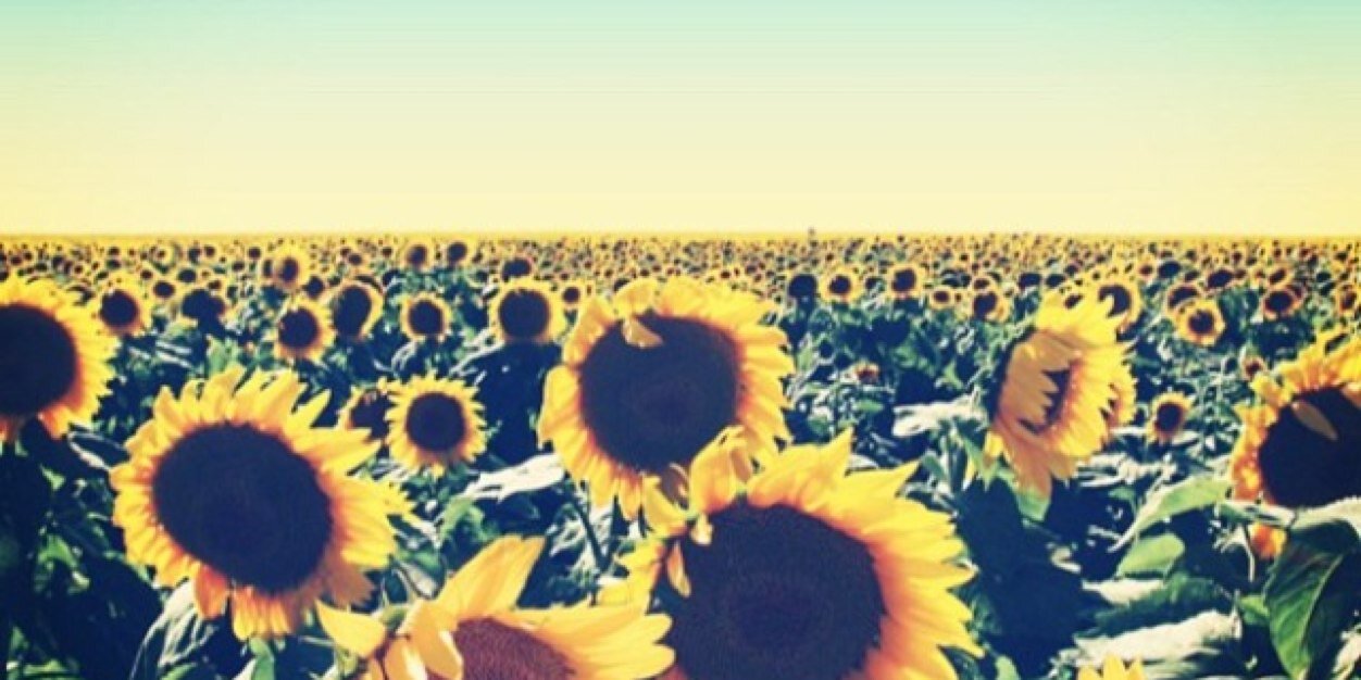 oliviaarees's profile banner image