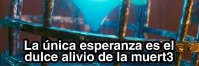 🏳️‍🌈 Miss Malatesta 👩‍⚖️ banner