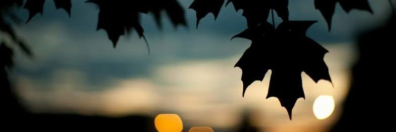 Rodríguez㋡ banner