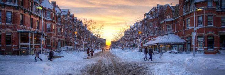 Daniel Saltzberg banner