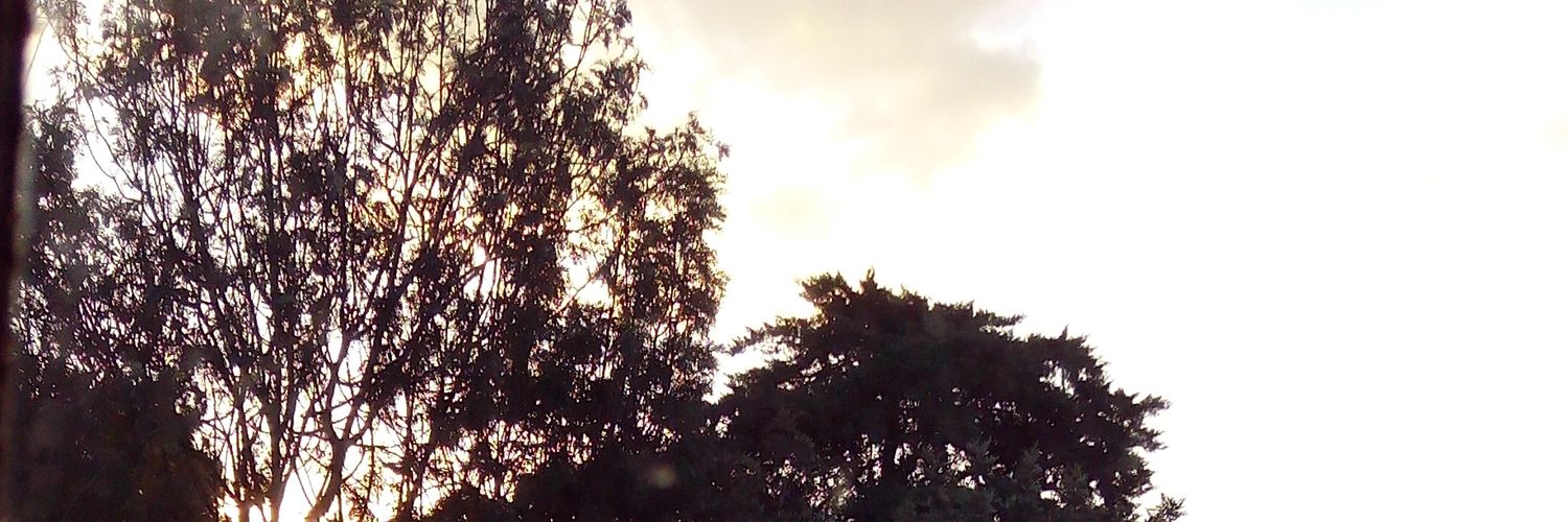 ianinyaa's profile banner image